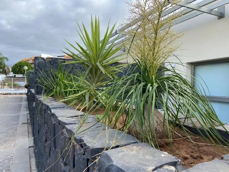 Amazing Luxury Seafront Villa Near Golf & Ocean San Miguel de Abona